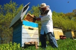 Весы для пчеловодства